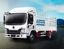CHENGLONG - LZ1100M3AA 4*2 CARGO TRUCK